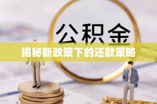 宁国揭秘新政策下的还款策略
