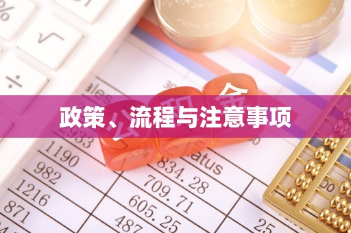 宁国政策、流程与注意事项