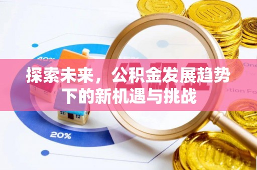 宁国探索未来，公积金发展趋势下的新机遇与挑战