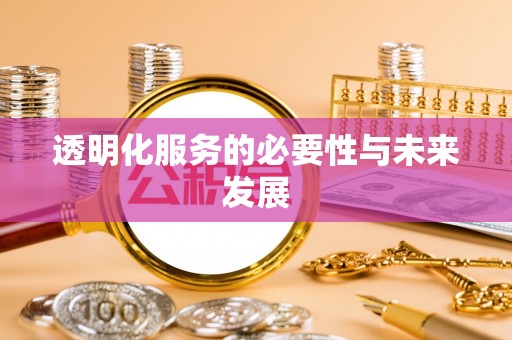 宁国透明化服务的必要性与未来发展
