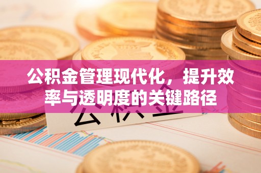 宁国公积金管理现代化，提升效率与透明度的关键路径