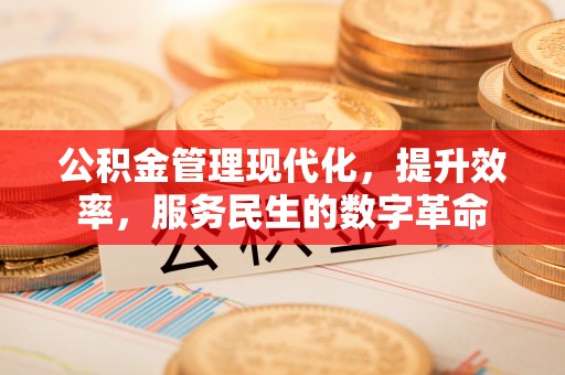 宁国公积金管理现代化，提升效率，服务民生的数字革命