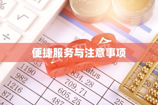 宁国便捷服务与注意事项